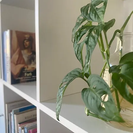 Appartement Bnb36, Centro - Retreat