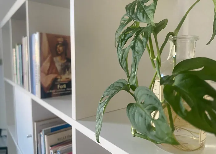 Apartament Bnb36, Centro - Retreat